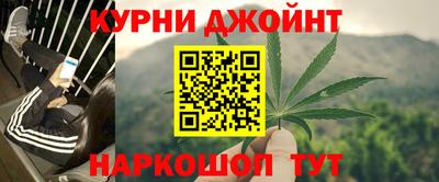 прущие грибы Мариинск