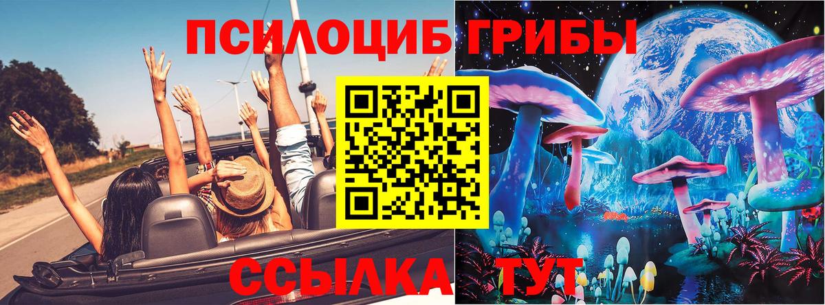 Псилоцибиновые грибы MAGIC MUSHROOMS Тула