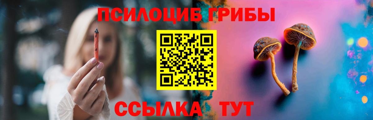 Тула  Галлюциногенные грибы Magic Shrooms  Вход с VPN  Галлюциногенные грибы мицелий 